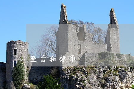 至言和律师 至言和律师