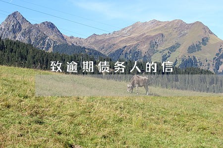 致逾期债务人的信 致逾期债务人的信