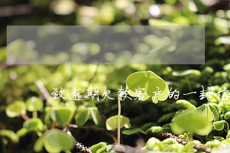 致逾期欠款客户的一封信