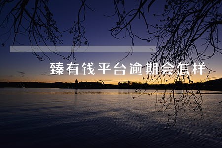臻有钱平台逾期会怎样 臻有钱平台逾期会怎样
