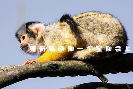 臻有钱逾期一个星期会上征信吗 臻有钱逾期一个星期会上征信吗