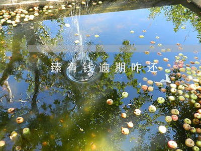 臻有钱逾期咋还 臻有钱逾期咋还
