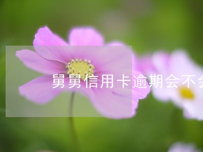 舅舅信用卡逾期会不会影响外甥 舅舅信用卡逾期会不会影响外甥