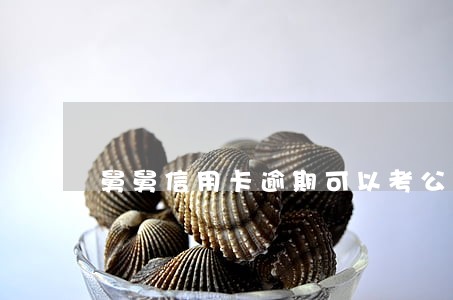 舅舅信用卡逾期可以考公务员吗 舅舅信用卡逾期可以考公务员吗