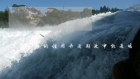 舅舅的信用卡逾期政审能过吗 舅舅的信用卡逾期政审能过吗