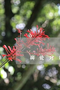 舆论对司法判决影响如何 舆论对司法判决影响如何