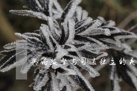 舆论监督与司法独立的关系 舆论监督与司法独立的关系
