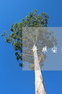 舒乐安定门诊卖违法吗 舒乐安定门诊卖违法吗