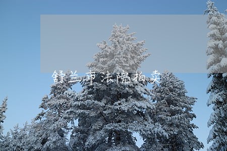 舒兰市法院拍卖 舒兰市法院拍卖