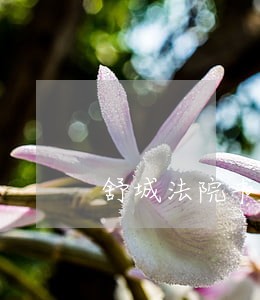 舒城法院书记员 舒城法院书记员