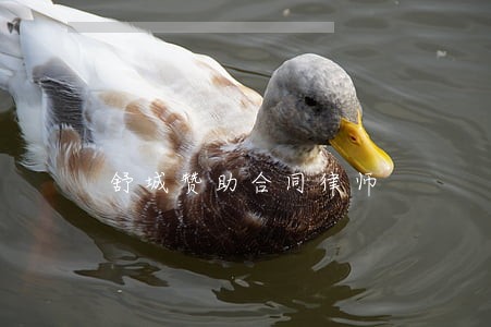 舒城赞助合同律师 舒城赞助合同律师