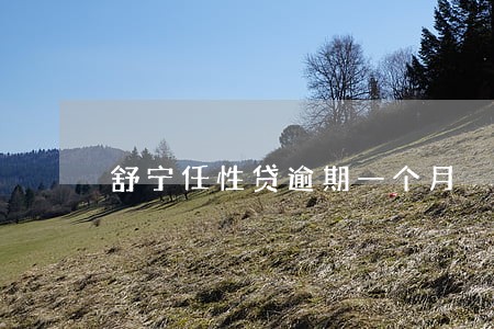 舒宁任性贷逾期一个月 舒宁任性贷逾期一个月