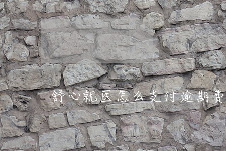 舒心就医怎么支付逾期费用 舒心就医怎么支付逾期费用