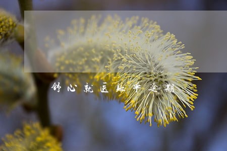 舒心就医账单逾期 舒心就医账单逾期