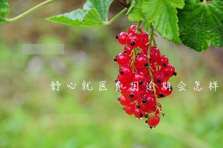 舒心就医费用逾期会怎样 舒心就医费用逾期会怎样