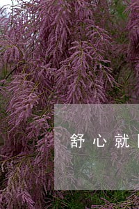 舒心就医逾期会上征信吗