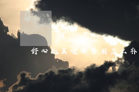 舒心就医逾期费用怎么补交 舒心就医逾期费用怎么补交