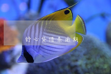 舒心贷借条逾期 舒心贷借条逾期