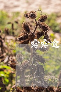 舜舜逾期几天催收 舜舜逾期几天催收