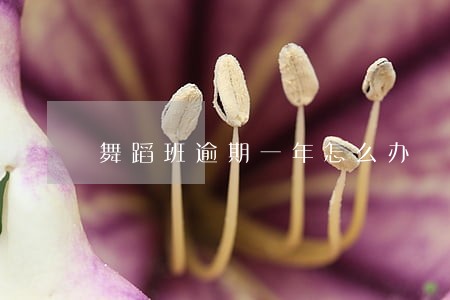 舞蹈班逾期一年怎么办 舞蹈班逾期一年怎么办