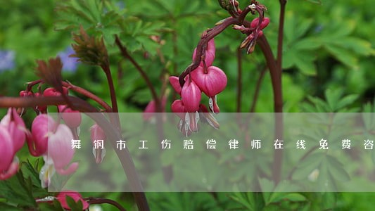 舞钢市工伤赔偿律师在线免费咨询 舞钢市工伤赔偿律师在线免费咨询