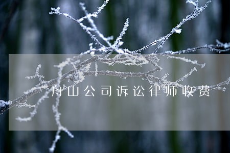 舟山公司诉讼律师收费 舟山公司诉讼律师收费