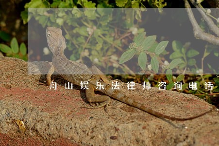 舟山娱乐法律师咨询电话 舟山娱乐法律师咨询电话