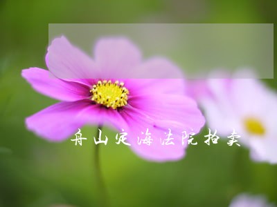 舟山定海法院拍卖 舟山定海法院拍卖