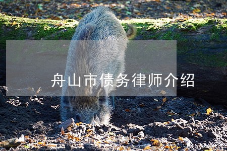 舟山市债务律师介绍 舟山市债务律师介绍