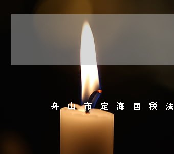 舟山市定海国税法规科