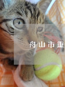 舟山市重婚罪律师 舟山市重婚罪律师