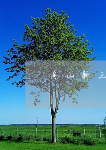舟山新三板在线律师咨询 舟山新三板在线律师咨询