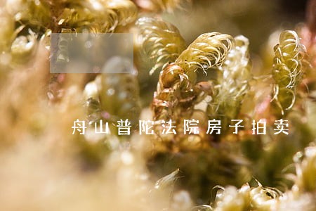 舟山普陀法院房子拍卖