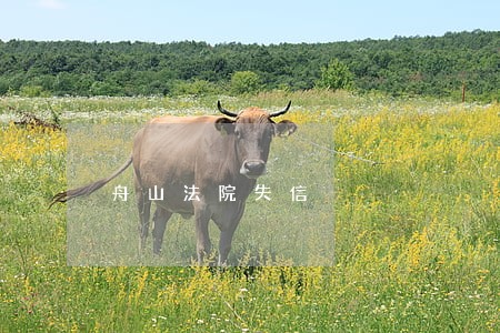 舟山法院失信