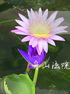 舟山法院姚忠