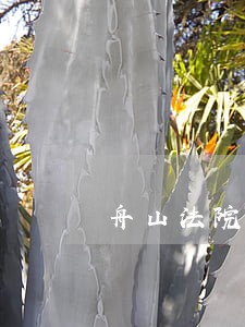舟山法院拍卖房东港 舟山法院拍卖房东港