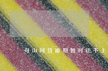 舟山网贷逾期暂时还不上怎么办