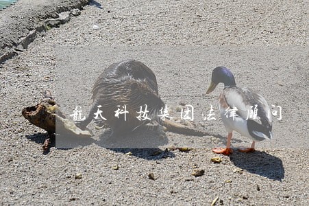 航天科技集团法律顾问 航天科技集团法律顾问