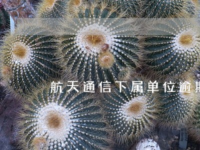 航天通信下属单位逾期 航天通信下属单位逾期