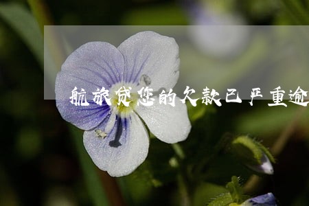 航旅贷您的欠款已严重逾期 航旅贷您的欠款已严重逾期