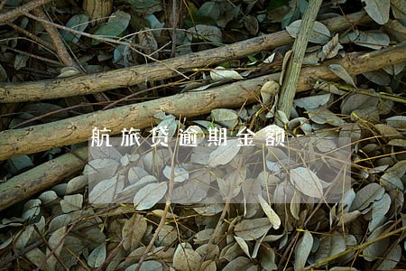 航旅贷逾期金额 航旅贷逾期金额