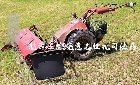 航海王燃烧意志挂机司法岛 航海王燃烧意志挂机司法岛
