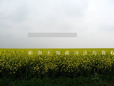 航海王血战司法岛教程 航海王血战司法岛教程