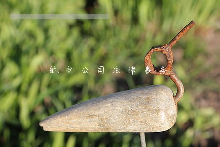 航空公司法律事务 航空公司法律事务