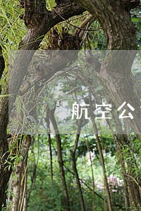 航空公司逾期行李票可以当发票吗 航空公司逾期行李票可以当发票吗