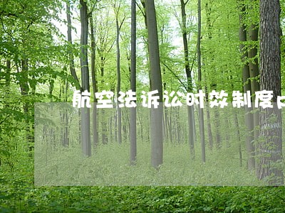 航空法诉讼时效制度ppt 航空法诉讼时效制度ppt