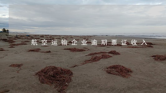 航空运输企业逾期票证收入 航空运输企业逾期票证收入