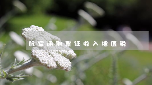 航空逾期票证收入增值税