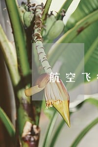 航空飞行法规 航空飞行法规