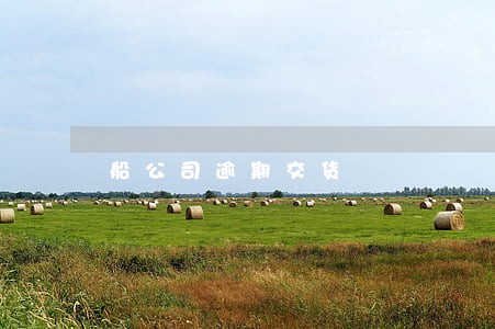 船公司逾期交货 船公司逾期交货